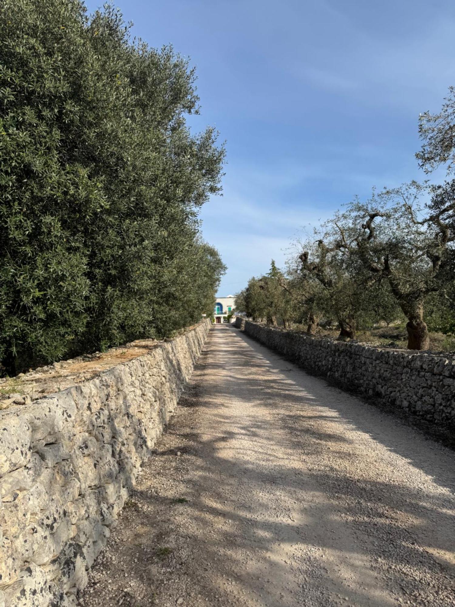 Ma'Bella - Masseria Piccola By Rentbeat Чистерніно Екстер'єр фото